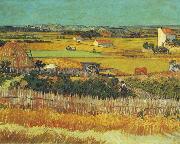 The Harvest, Arles Vincent Van Gogh